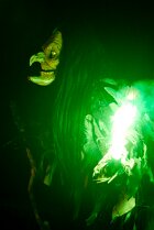 Impressionen Walpurgis