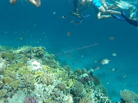 Aegypt_ 0160 This photo is taken by AllWinner's v3-sdv