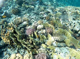 Aegypt_ 0161 This photo is taken by AllWinner's v3-sdv