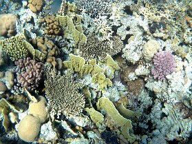 Aegypt_ 0162 This photo is taken by AllWinner's v3-sdv