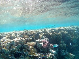 Aegypt_ 0196 This photo is taken by AllWinner's v3-sdv