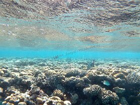 Aegypt_ 0197 This photo is taken by AllWinner's v3-sdv