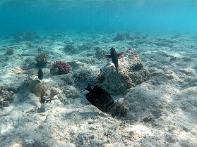 Aegypt_ 0248 This photo is taken by AllWinner's v3-sdv