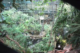 Erlebnismuseum Universeum Göteborg Erlebnismuseum Universeum Göteborg Tropenwald, Lebende Tiere, Dinosaurier, riesige Aquarien, Erlebniswelt und vieles mehr für alle Altersgruppen bietet dieses...