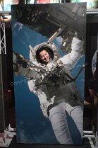 Erlebnismuseum Universeum Göteborg Erlebnismuseum Universeum Göteborg Tropenwald, Lebende Tiere, Dinosaurier, riesige Aquarien, Erlebniswelt und vieles mehr für alle Altersgruppen bietet dieses...